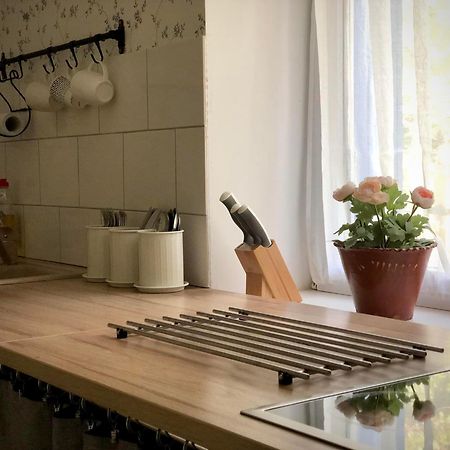 Alpakarium, Hodowla Alpak & Pensjonat Stara Kornica Екстер'єр фото